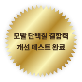 앰블럼